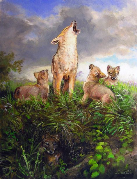 0929_sakaltanya_65x50.jpg